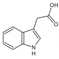 гетероауксин