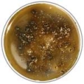 висмут-сульфит агар (0.25 кг)среда №5